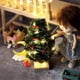 thumbnail image 5 of Miniature LED String Lights for Dollhouse Christmas Decorations, 5 of 5