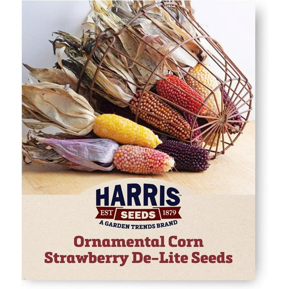 Harris Seeds - Ornamental Corn Seeds Strawberry De-Lite Popcorn Multicolor - 100 Seeds