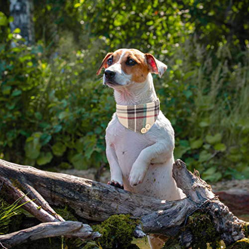 EXPAWLORER Bow Tie Dog Collar with Bell 2 Pack Classic Plaid Adjustable Collars Bowtie Bandana for Puppy Cats
