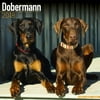 Dobermann Calendar 2018 (Euro) - Dog Breed Calendar - Wall Calendar 2017-2018