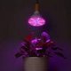 thumbnail image 4 of Bombilla LED para cultivo que promueve la luz solar y mejora la fotosíntesis, base E27 de 300 LED, perfecta para plantas hidropónicas de interior con múltiples orificios de disipación de calor, larga, 4 of 8