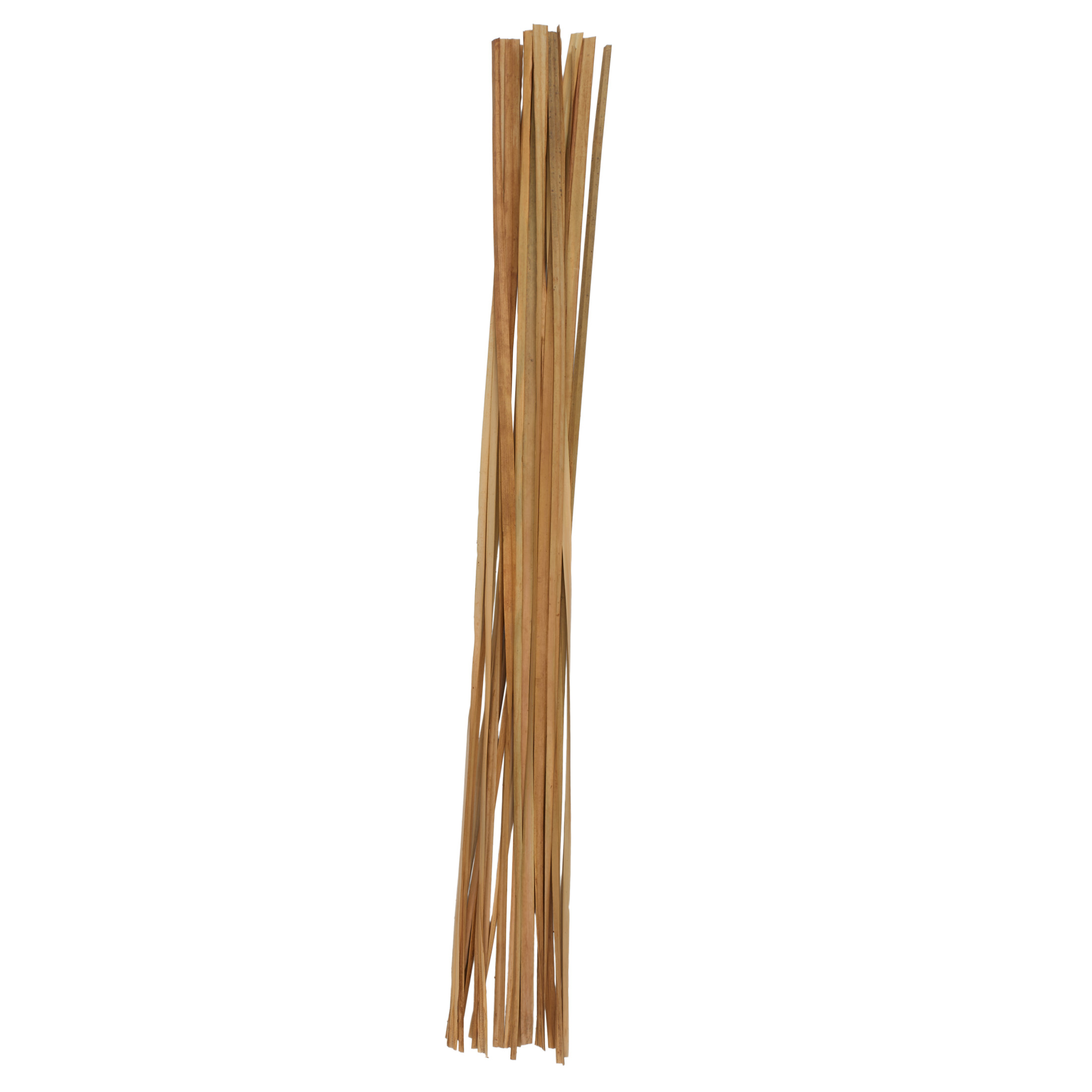 80" Tall Sticks Dried Plant Natural Foliage Bouquet, by DecMode