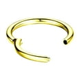thumbnail image 4 of Luxe Modz PVD Gold G23 Titanium Hinged Clicker Segment Ring Lip Piercing Jewelry Men Women, 4 of 8