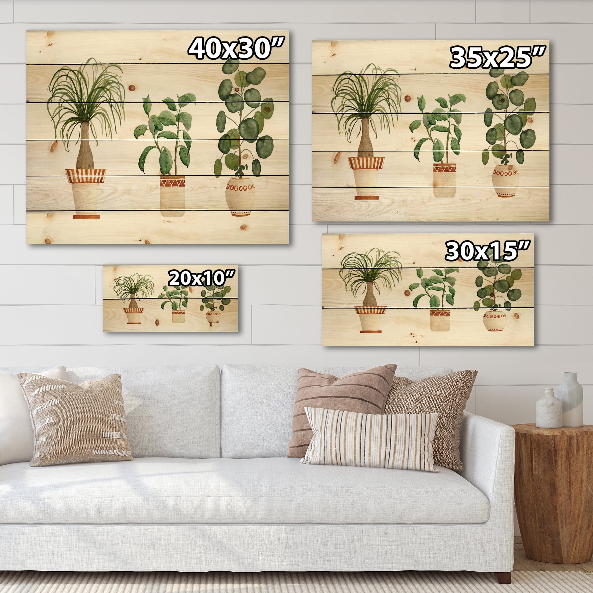 Designart 'Trio of House Plants Ficus Ponytail and Palm' Traditional Print on Natural Pine Wood