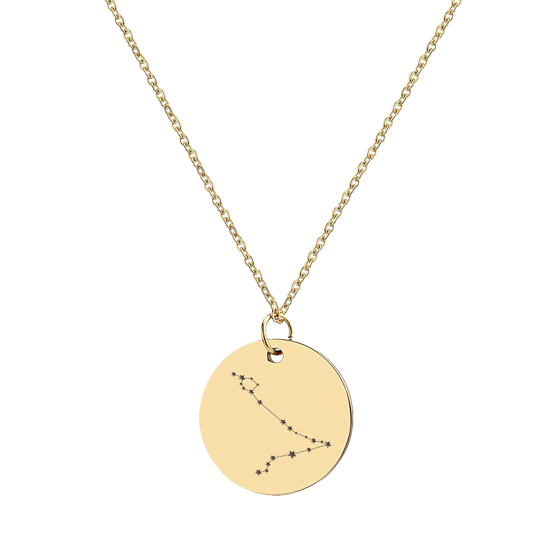 Anavia Round Pisces Constellation Zodiac Star Sign Stainless Steel Gold Disc 22mm Pendant Jewelry with Gift Box