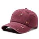 thumbnail image 2 of CaiYueKe Washed Soft Top Baseball Cap, Cute Puppy Embroidery Hat, Vintage Baseball Cap, Casual Streetwear Hat, Adjustable Unisex Cap, Breathable Summer Hat, Durable Everyday Cap, Low Maintenance Cap, 2 of 6