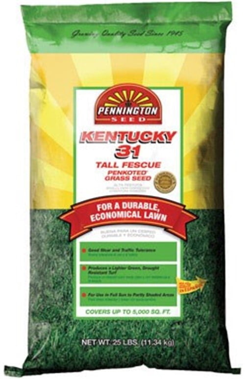 Pennington Seed Kentucky 31 Penkoted Tall Fescue Grass Seed Bagged 25 Lb