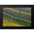 thumbnail image 2 of Carozzi, Fiorenzo 24x17 Black Modern Framed Museum Art Print Titled - Vineyards, 2 of 5
