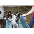 thumbnail image 2 of Champú medicinal para perros Vetericyn FoamCare hipoalergénico 473 ml, 2 of 4