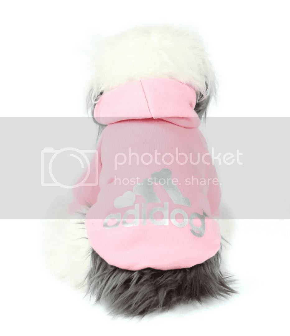 X-Small, Pink 100% Cotton Adidog Colorful Hoodie Pet-wear for Small to Medium Dogs 