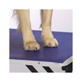 thumbnail image 3 of Top Performance TP Table Mat 24x48In Blu, 3 of 4