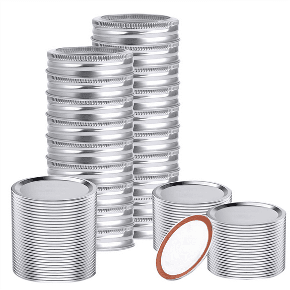 48 PCS Regular Mouth MasonJar Lids and Rings, Reusable Leakproof Canning Lids with Silicone Seals for Easy Replacement,24 * cover 24 * ring,Silver