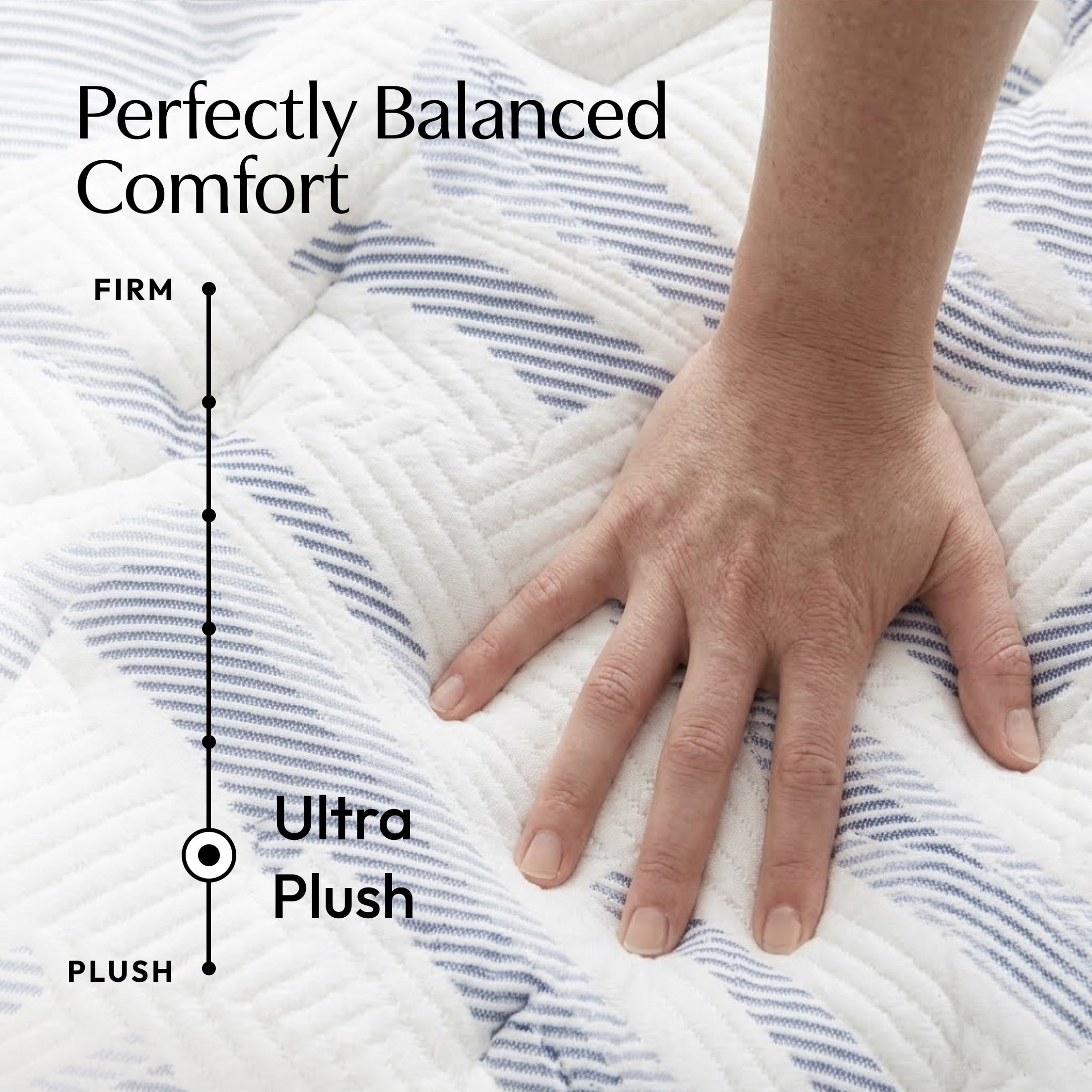 Signature Design by Ashley Chime 12 Inch California King Mattress in a Box, Ultra Plush Hybrid Gel Memory Foam Mattress with Wrapped Coils, Lumbar Support and Motion Isolation