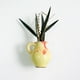 thumbnail image 2 of Jarrones para Flores Jarrones de Cerámica, Pegatinas de Refrigerador, Macetas de Flores Suculentas, Pegatinas Magnéticas, Muebles Decorativos Lindos, Artesanías, 2 of 2