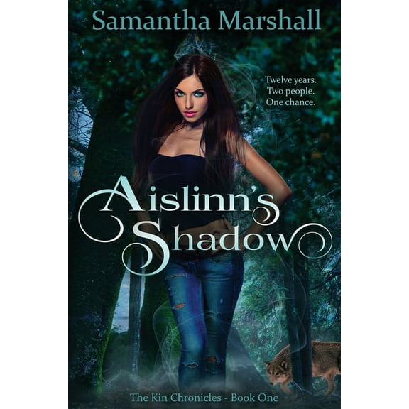 Aislinn's Shadow (Paperback)