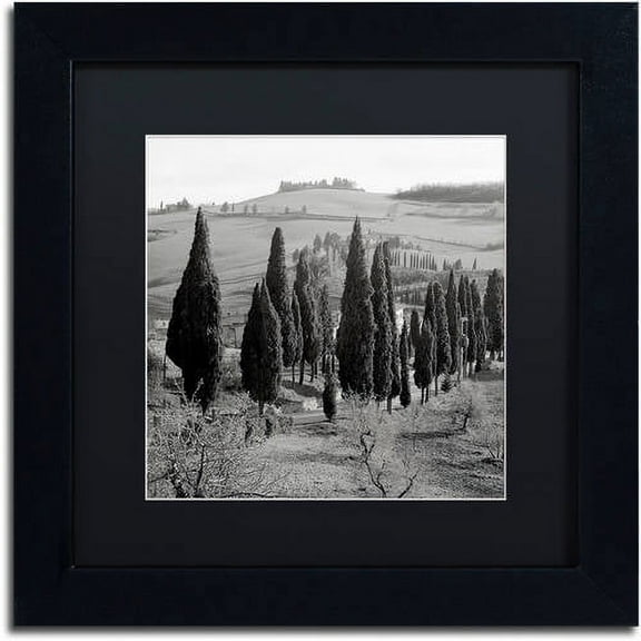 Trademark Fine Art "Tuscany IV" Canvas Art by Alan Blaustein, Black Matte, Black Frame