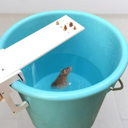 Plank Mouse Trap, Easy To Clean Humane Reusable Humane Bucket Traps  Effective Elastic For Catching Mice 