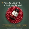 thumbnail image 2 of NatureBell Cranberry Concentrate - 240 Capsules - Organic Cranberry Concentrate with Acerola Cherry - Urinary Tract & Prostate Support - Vegetarian - 240 Servings, 2 of 8