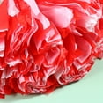 thumbnail image 2 of GOOHOCHY Creative Cheerleader Pom Poms with Handle for Sports Cheering 1 Pair, 2 of 8