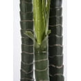 thumbnail image 2 of Vintage Home Artificial Faux Real Touch 72" Tall Monstera Ceriman, 2 of 2