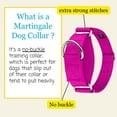 thumbnail image 4 of Country Brook Petz® 1 1/2 inch Fuchsia Martingale Heavyduty Nylon Dog Collar, Large, 4 of 6