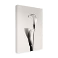 thumbnail image 4 of Canvas Wall Art - Calin Hanchevici 'Calla' Wall Art for Living Room, Bedroom, or Office Décor by Trademark Fine Art - 12 x 19 Inches, 4 of 4