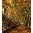 thumbnail image 3 of Ambesonne Nature Duvet Cover Set, Autumn Foliage Forest, Calking, Brown Amber Marigold, 3 of 3