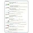 thumbnail image 2 of 2X 36V 350W E-Bike Brushless Controller 6 Tube Dual Mode for Electric Bike Scooter Speed Intelligent Dual Motor Part, 2 of 6