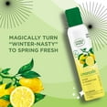 thumbnail image 2 of Citrus Magic Limited Edition Odor Eliminating Air Freshener Spray, Limoncello, 3-Ounce, Pack of 3, 2 of 6