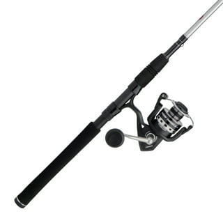 PENN 6' Squall II Level Wind Conventional Combo, Reel Size 20