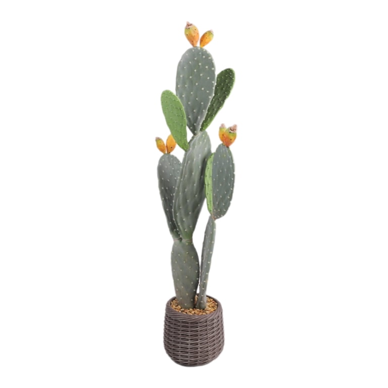 Artificial Cactus, 42