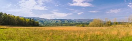 Field With A Mounta
