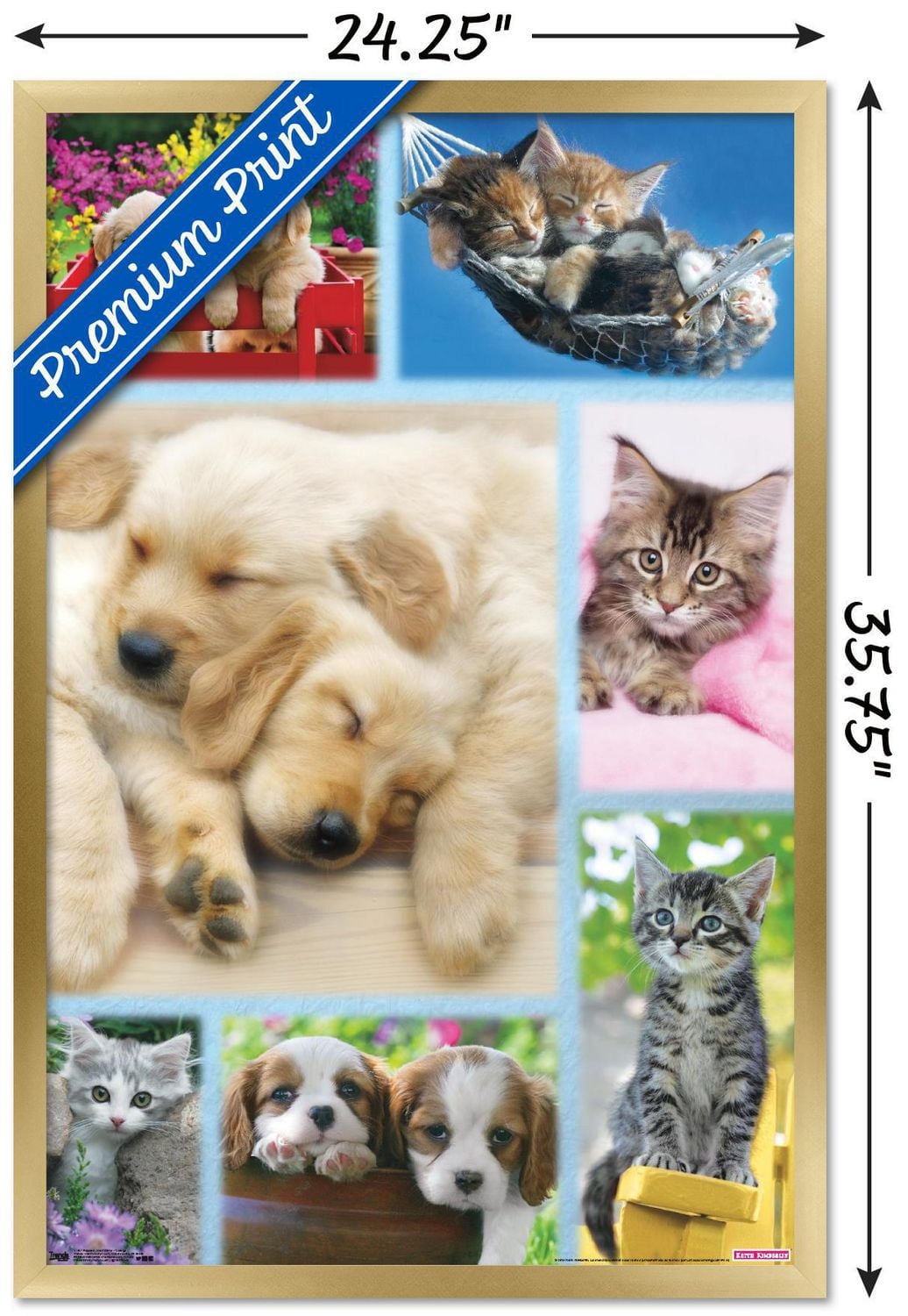 Keith Kimberlin - Puppies and Kittens Collage Wall Poster