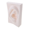 thumbnail image 3 of Shisuyan Sketch Art Model PVC Smooth Surface For Sketch Sculpture 1Pc 9.1x5.7in, 3 of 9