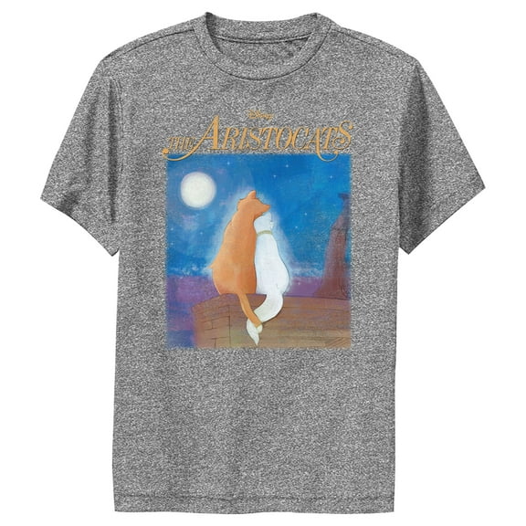 Boy's Aristocats Duchess and O'Malley Night Sky  Performance Graphic Tee Charcoal Heather X Large