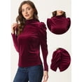 thumbnail image 2 of Blusa de Terciopelo para Mujer de Manga Larga con Cuello Alto Top Elegante de Terciopelo borgoña M, 2 of 5