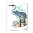 thumbnail image 2 of Designart 'Ancient Australian Birds V' Traditional Framed Art Print, 2 of 4