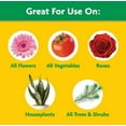 thumbnail image 2 of Miracle-Gro 1011410 Water Soluble All-Purpose Plant Food 5.5lb, 2 of 2