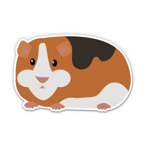 Guinea Pig Car Window Sticker Vinyl Deca Buy Online In Dominica At Desertcart