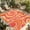 Pink, variant on Pink Abstract Outdoor Rug for Patio/Deck/Porch, Non-Slip Large Area Rug 5 x 7 Ft, Modern Geometric Distortion Texture Fluid Art Indoor Outdoor Rugs Washable Area Rugs, Camping Rug Carpet Runner