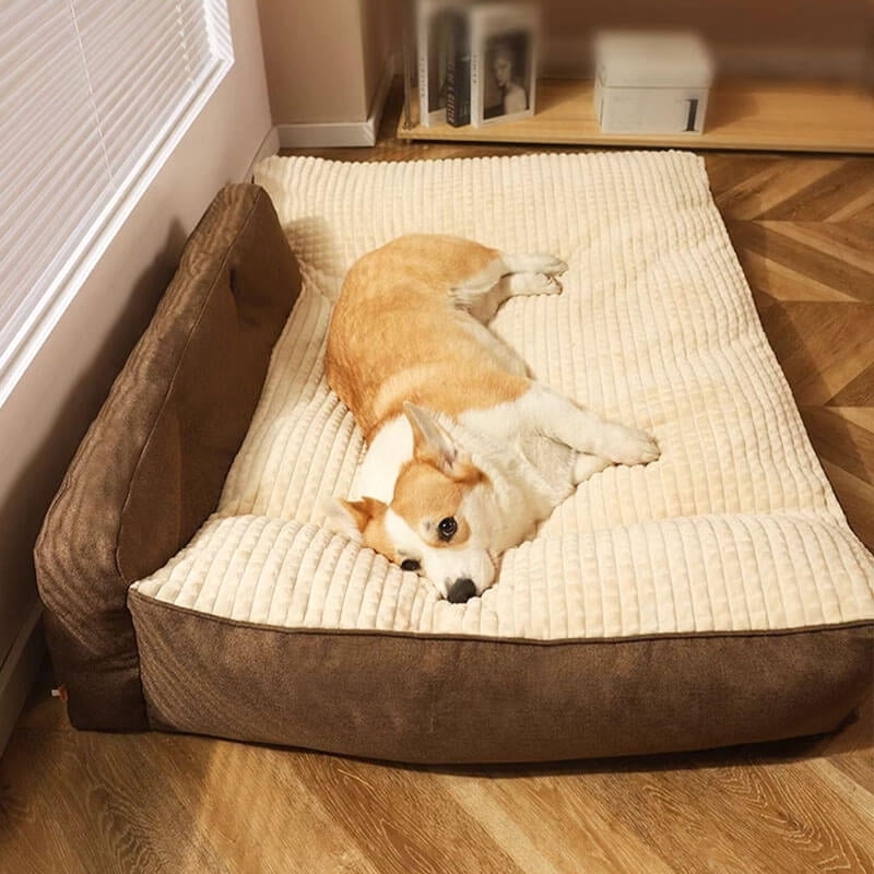 Custom All Season Pet Dog Sofa Bed Durable Orthopedic Memory Foam Boucle Dog Bed With Removable Washable Cover Pet Supplies