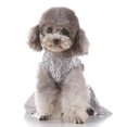thumbnail image 1 of Vestido de verano para cachorro de perro Salvador para Mascotas Pequeño XS, 1 of 10