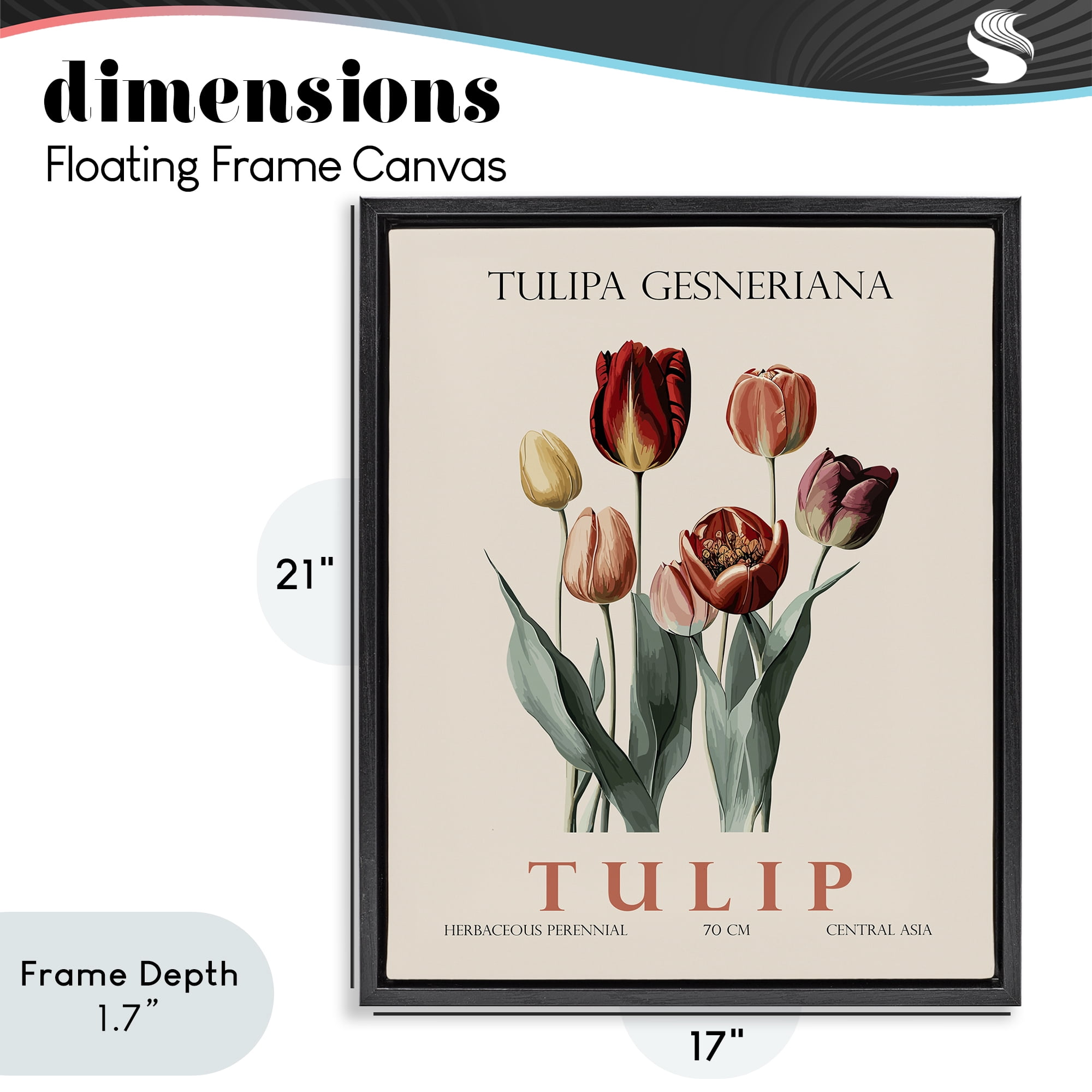 Stupell Industries Natural Tulip Bundle Black Framed Floater Canvas Wall Art, design by Christopher Giampietro