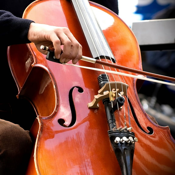 GOOHOCHY Cello Wolf Tuner with Copper for Cello Instrument Accessories Golden 1 Piece