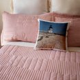 thumbnail image 5 of 3drose, Massachusetts, Nantucket. Shell in Front of Brant Point Lighthouse., 16x16 inch Pillow Case, 5 of 5