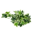 Artificial Reptile Plants Lifelike Plastic Plant Hanging Leaves