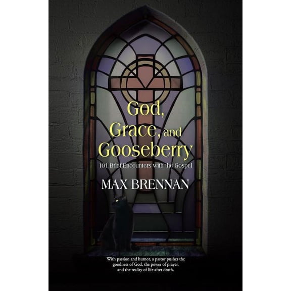 God, Grace, and Gooseberry : 101 Brief Encounters With the Gospel