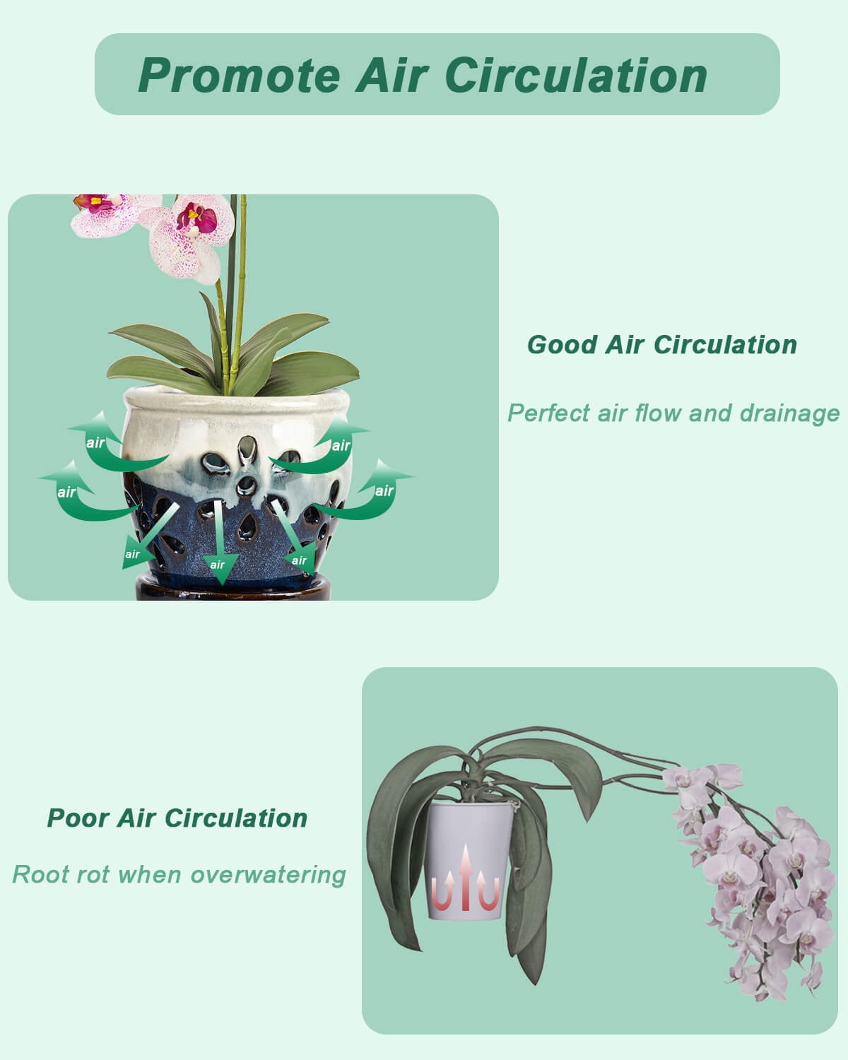 5 Inch Ceramic Orchid Pots with Holes and Saucers - 1 Pcs Small Ceramic Orchid Planter Pots for Repotting, Plant Garden Pots for Orchid Indoor and Outdoor Promotes Air Circulation, White