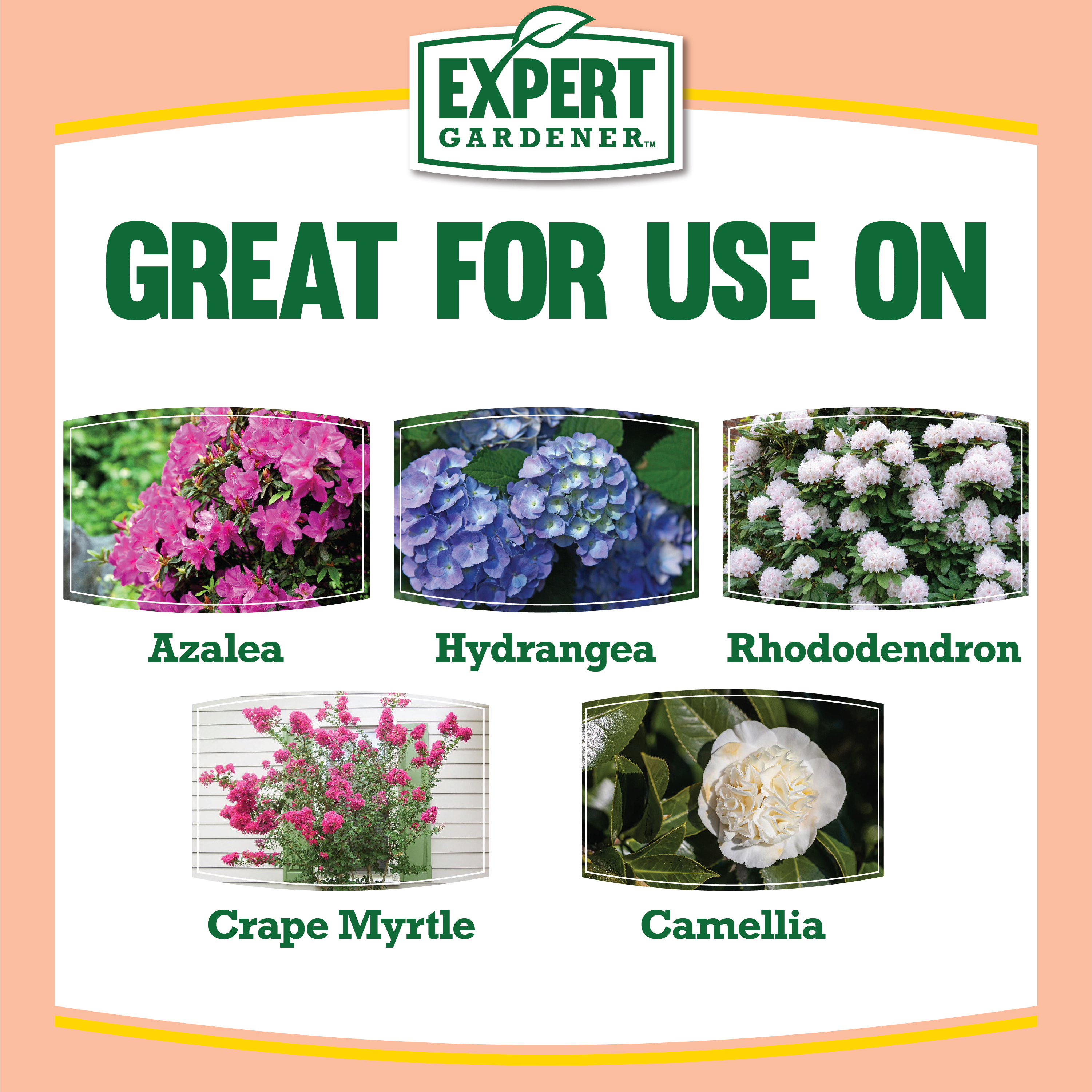 Expert Gardener Azalea, Camellia & Rhododendron Plant Food Fertilizer 10-8-8, 4 lb. - image 3 of 8