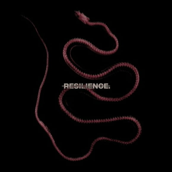 Résilience
